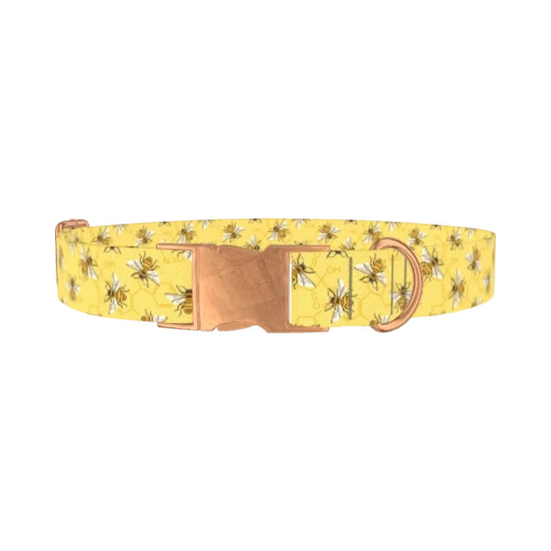 Bee Science Dog Collar - metal rose gold