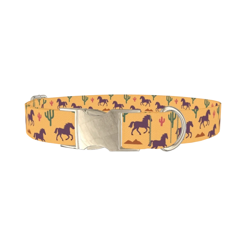 Western Desert Horse Dog Collar - metal silver