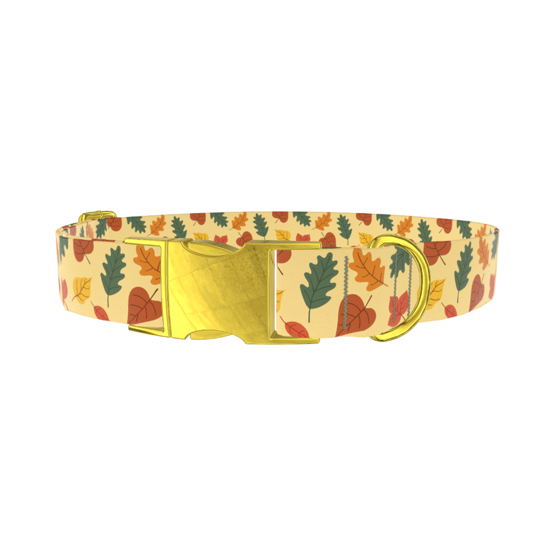 Colorful Autumn Leaf Dog Collar - metal gold