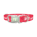 Heart Phrase Dog Collar - plastic silver
