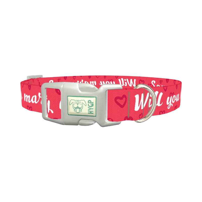 Heart Phrase Dog Collar - plastic silver