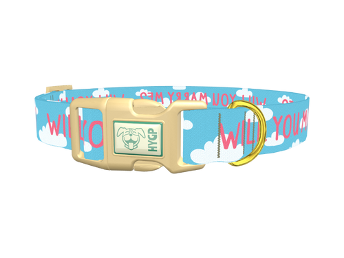 Cloud Phrase Dog Collar