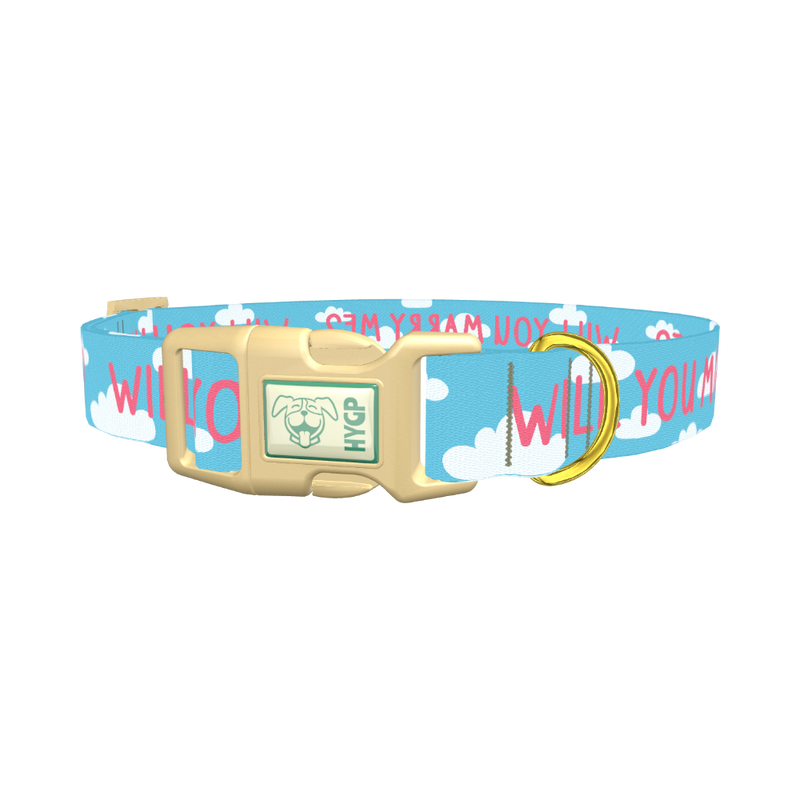 Cloud Phrase Dog Collar - plastic gold