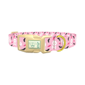 Halloween Skulls and Bats Dog Collar - plastic gold