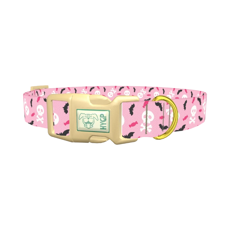 Halloween Skulls and Bats Dog Collar - plastic gold