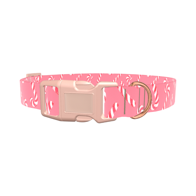 Pink Candy Cane Dog Collar - plastic silver