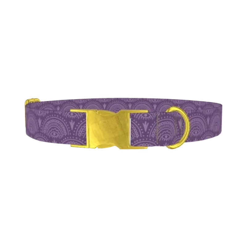 Purple Eye Pattern Dog Collar - metal gold