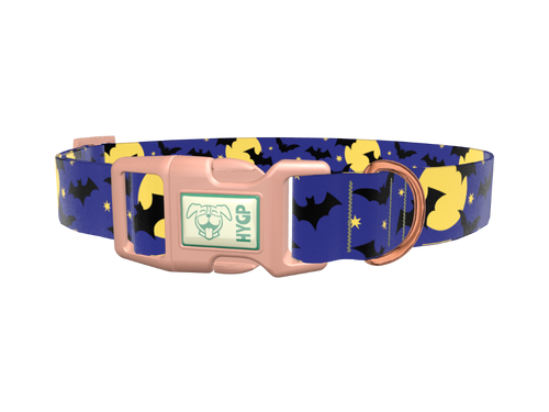 Halloween Night Dog Collar