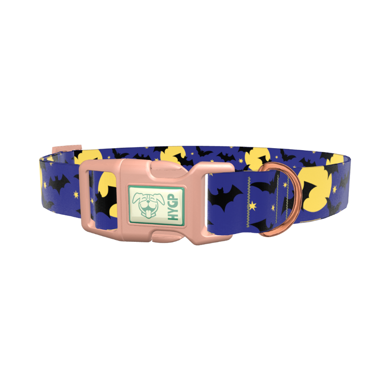Halloween Night Dog Collar - plastic gold