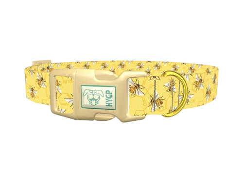 Bee Science Dog Collar