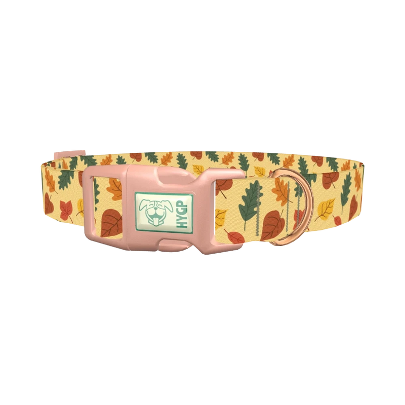 Colorful Autumn Leaf Dog Collar - plastic rose gold