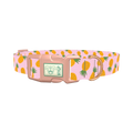 Tropical Pineapple Dog Collar - plastic rose gold