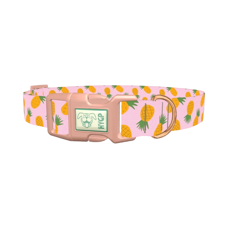 Tropical Pineapple Dog Collar - plastic rose gold