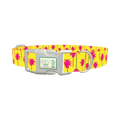 Tropical Palm Tree Dog Collar - plastic silver