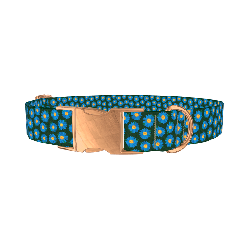Blue Daisy Floral Dog Collar - metal rose gold