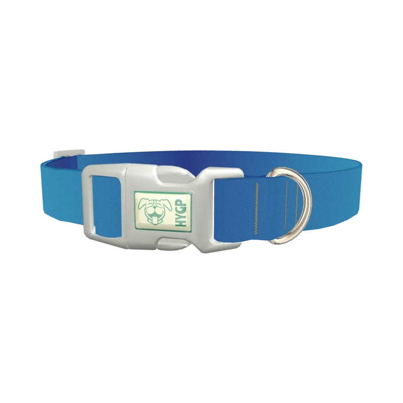 Oceanic Gradient Dog Collar - plastic silver