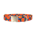Orange Fruit Dog Collar - metal silver