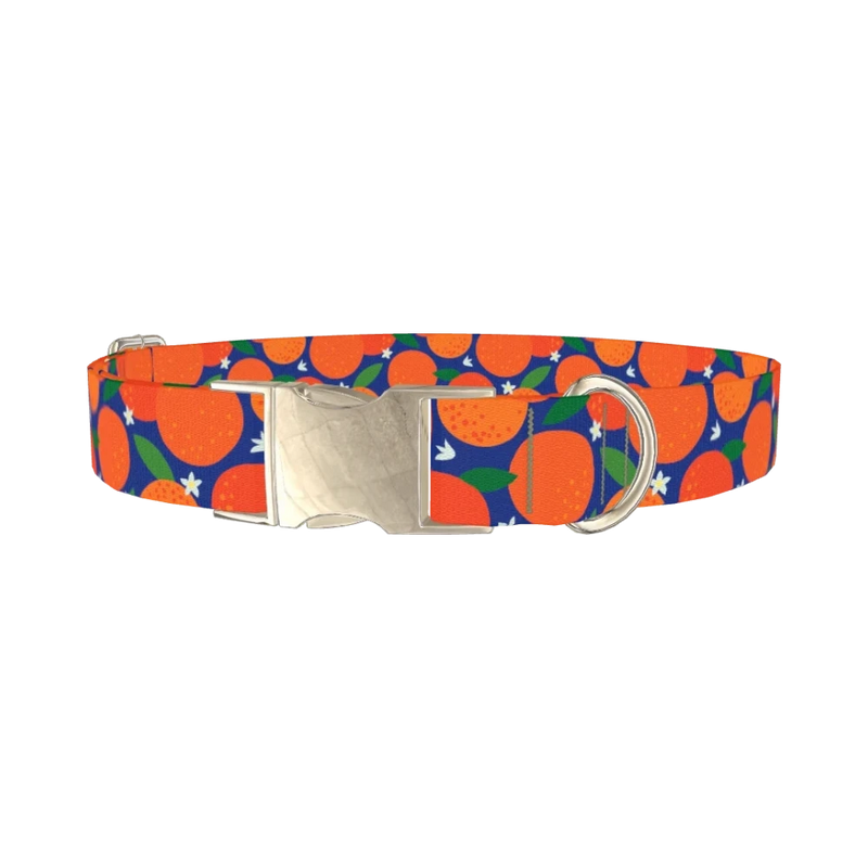 Orange Fruit Dog Collar - metal silver