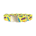 Colorful Flip Flop Dog Collar - metal silver
