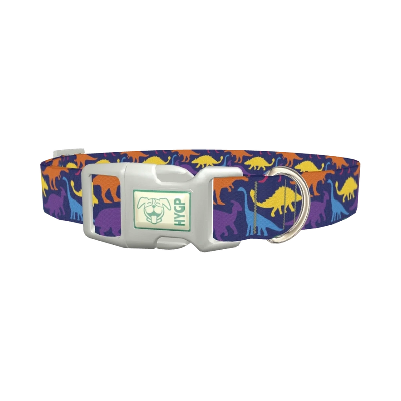 Dinosaur Pattern Dog Collar - plastic silver
