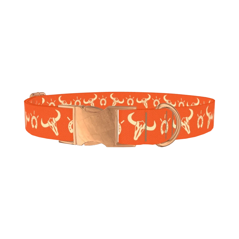 Western Skull Dog Collar - metal rose gold