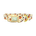 Witchy Pumpkin Halloween Dog Collar - plastic gold