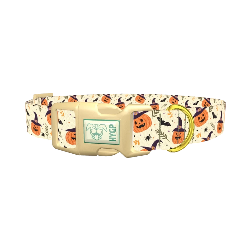 Witchy Pumpkin Halloween Dog Collar - plastic gold