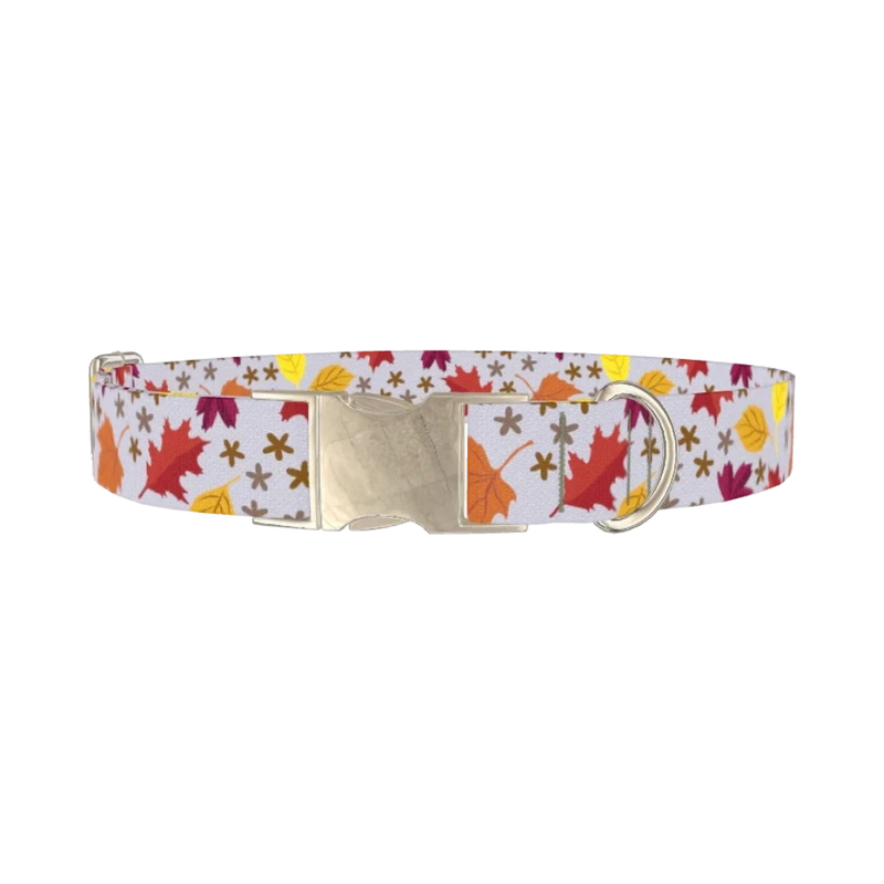 Autumn Acorn Dog Collar - metal silver