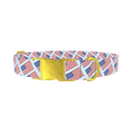Stars and Stripes Dog Collar - metal gold