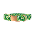 Green Clover Pattern 8870529237207 Dog Collar - metal rose gold