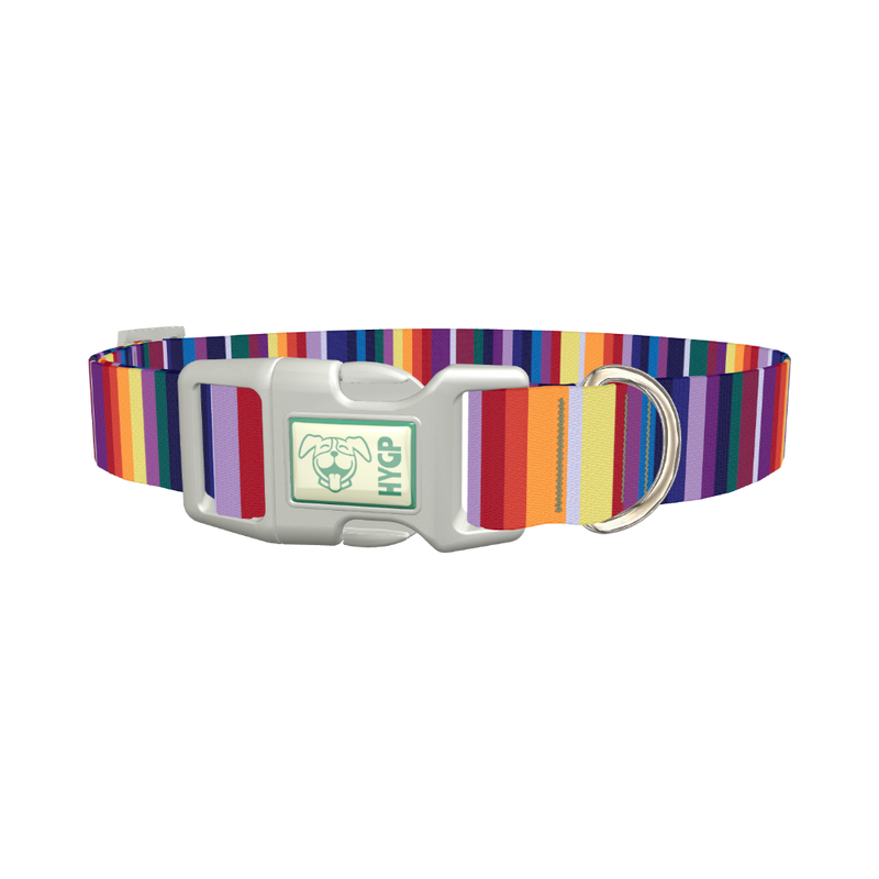 Colorful Mexican Stripe Dog Collar - plastic silver