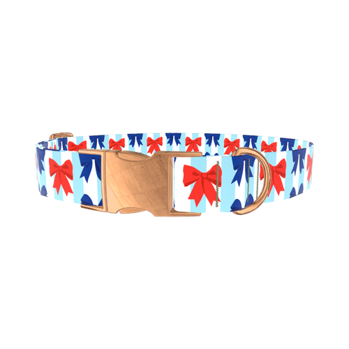 4thOfJULY19_BowsRedBlue