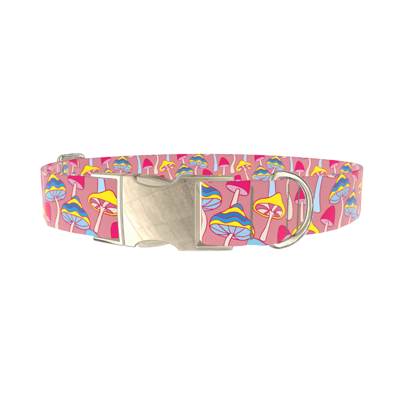 Colorful Mushroom Field Dog Collar - metal silver