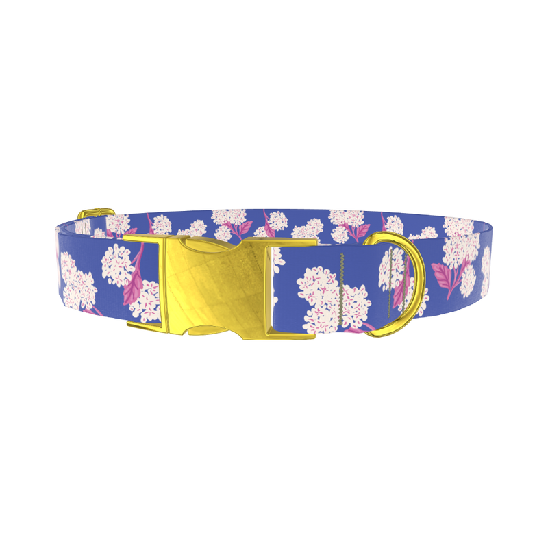 Blue Hydrangea Pattern Dog Collar - metal gold