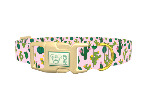 Floral Cactus Dog Collar