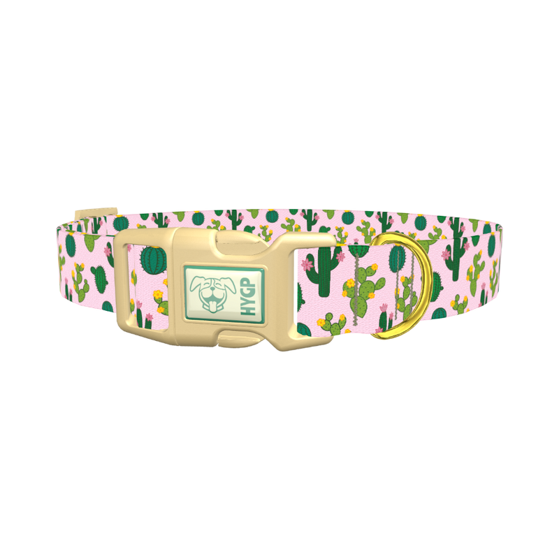 Floral Cactus Dog Collar - plastic gold