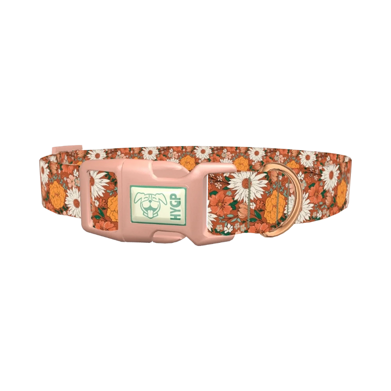 Autumn Floral Dog Collar - plastic rose gold