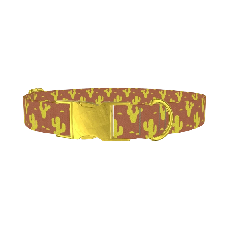 Western Cactus Dog Collar - metal gold