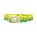 Gradient Dog Collar - plastic gold
