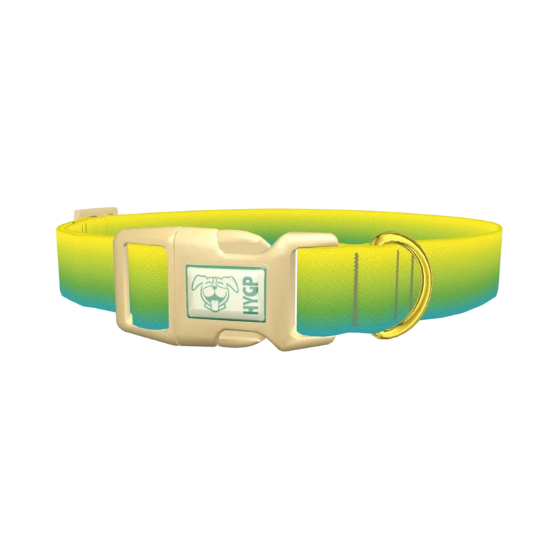 Gradient Dog Collar - plastic gold