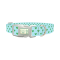 Mint Heart Pattern Dog Collar - plastic silver