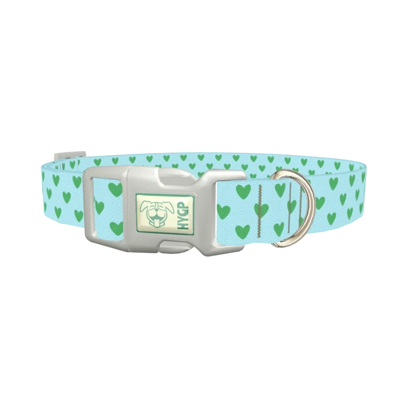 Mint Heart Pattern Dog Collar - plastic silver