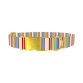 Rainbow Stripe Dog Collar - metal gold