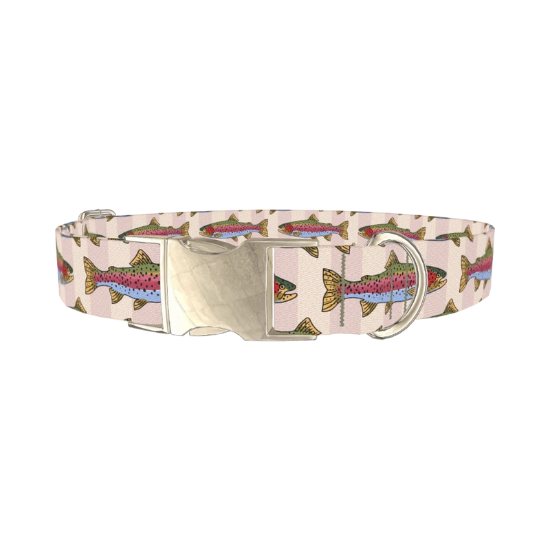 Rainbow Trout Fish Dog Collar - metal silver