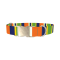 Striped Dog Collar - metal silver