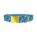 Musical Notes Dog Collar - metal gold
