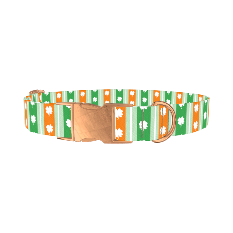 St. Patrick's Shamrock Stripe Dog Collar - metal rose gold