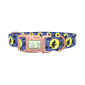 Halloween Witch Dog Collar - plastic rose gold