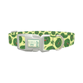 Watermelon Fruit Dog Collar - plastic silver