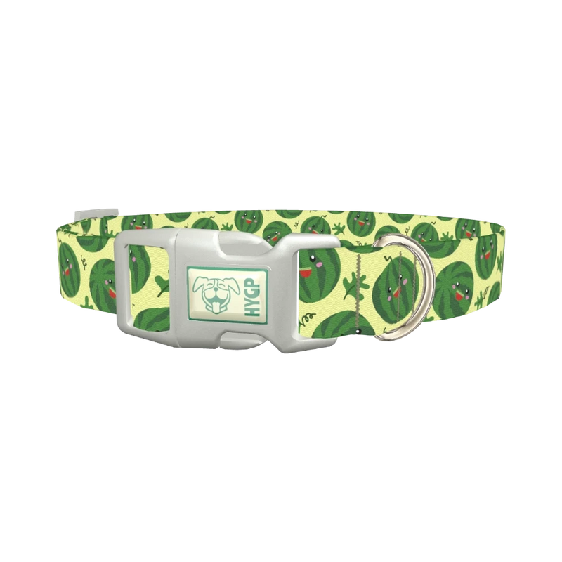 Watermelon Fruit Dog Collar - plastic silver